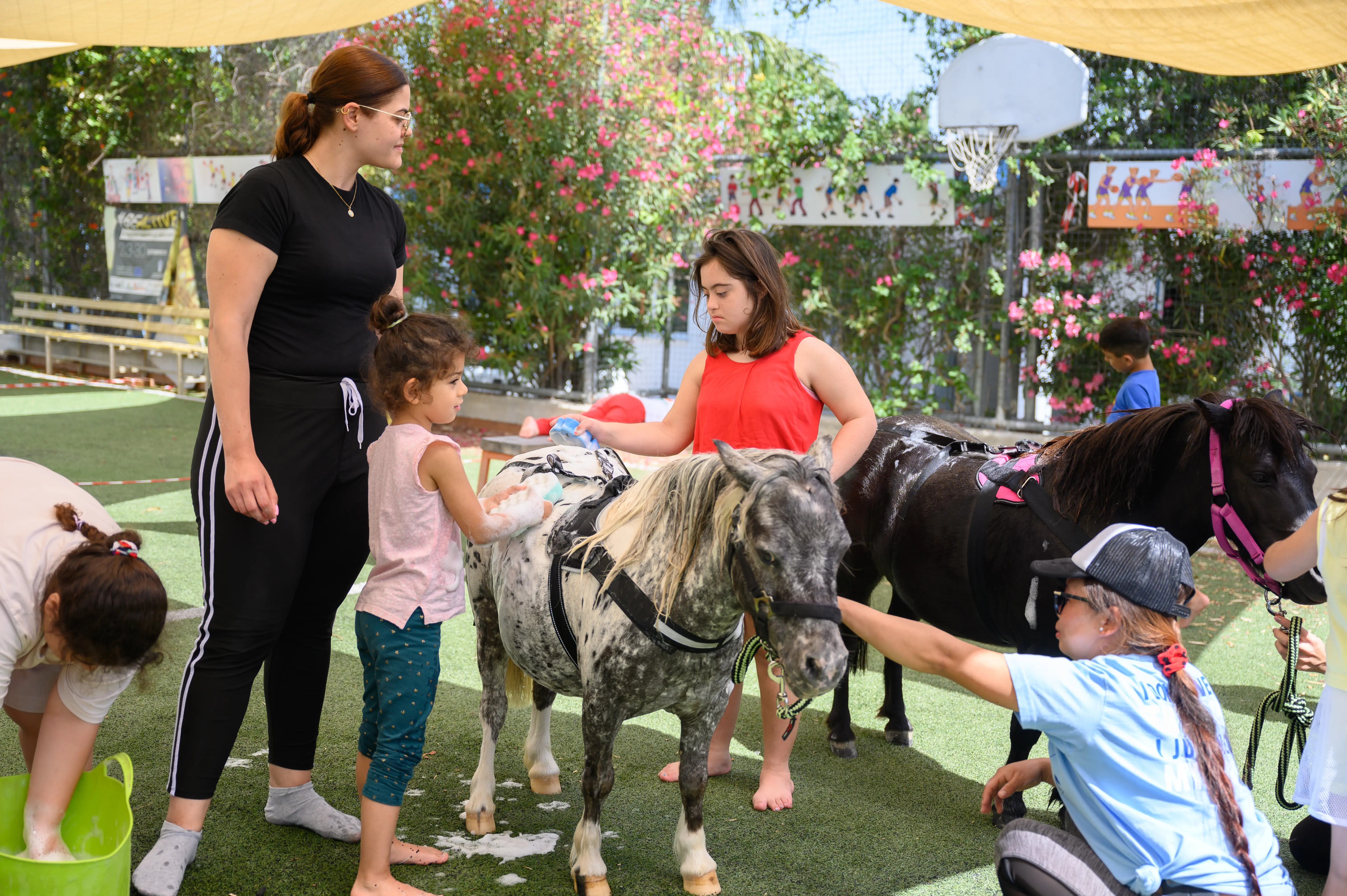 H Ελληνική Τράπεζα με τον Majestic συνεχίζει να δίνει νέο νόημα στη ζωή των ασθενών