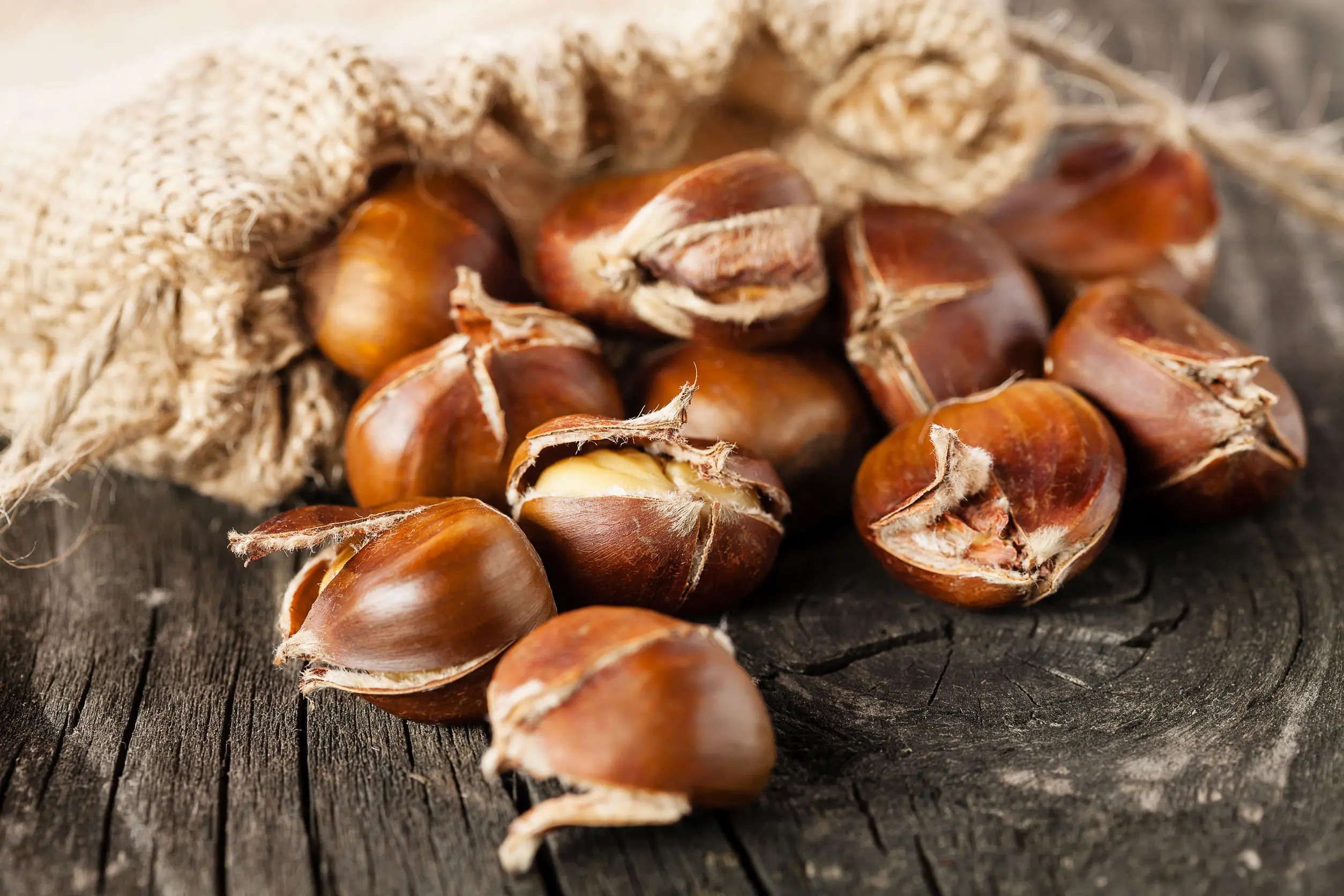 Συνεταιρισμός στο Πάικο εξάγει το 90% της παραγωγής κάστανου