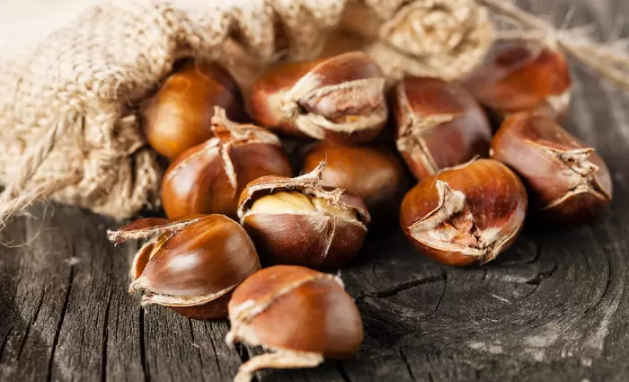 Συνεταιρισμός στο Πάικο εξάγει το 90% της παραγωγής κάστανου