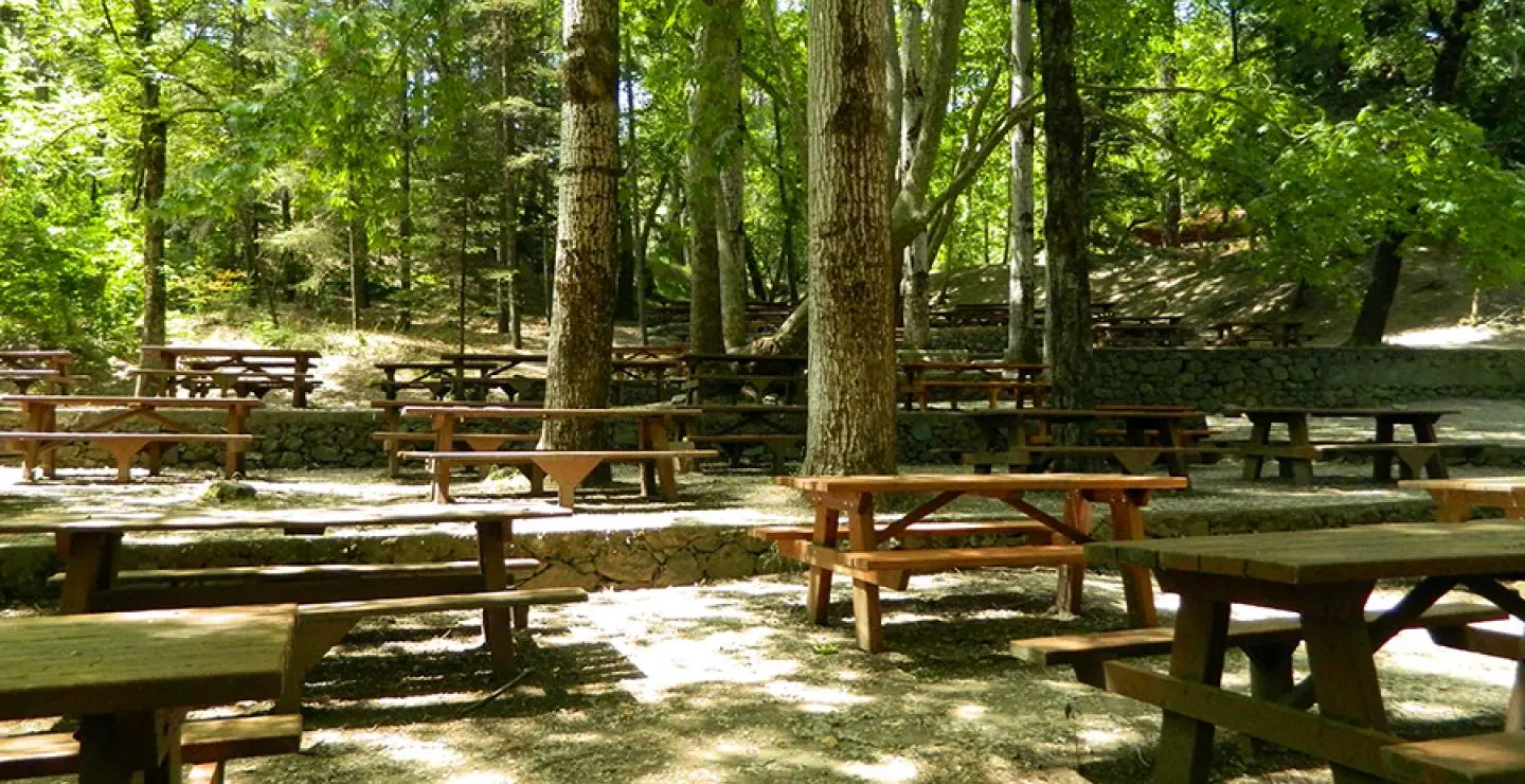 Κλειστοί οι κατασκηνωτικοί χώροι μέχρι νεοτέρας