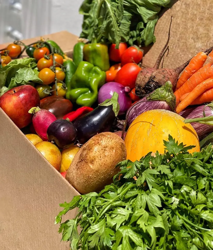 Η Rescued Box αποτρέπει την σπατάλη φρούτων και λαχανικών