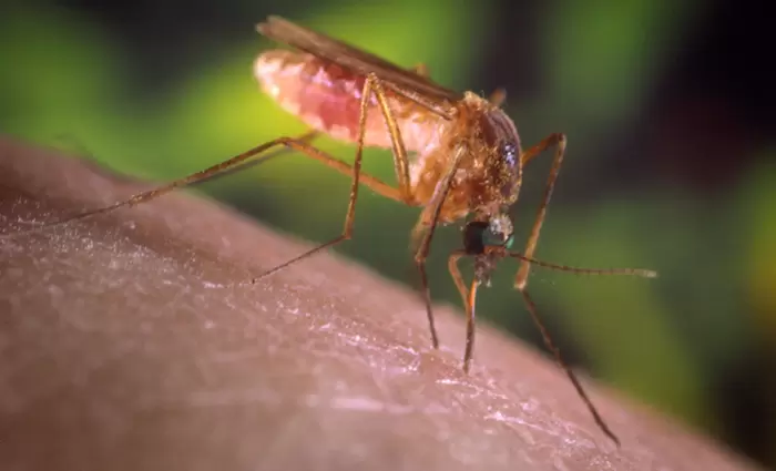 Application σε ενημερώνει ότι έρχεται κουνούπι