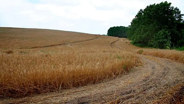 Αύξηση 68% στο ψωμί στη Βουλγαρία