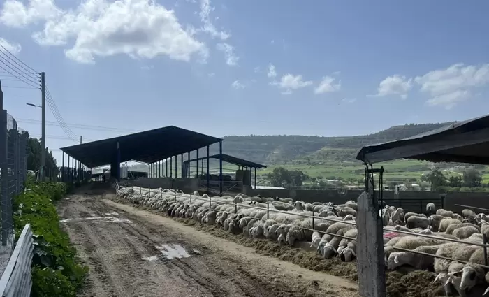 Λετυμπιώτης: «Δεν υπάρχουν εξαιρέσεις στα πρωτόκολλα για τον αφθώδη πυρετό»