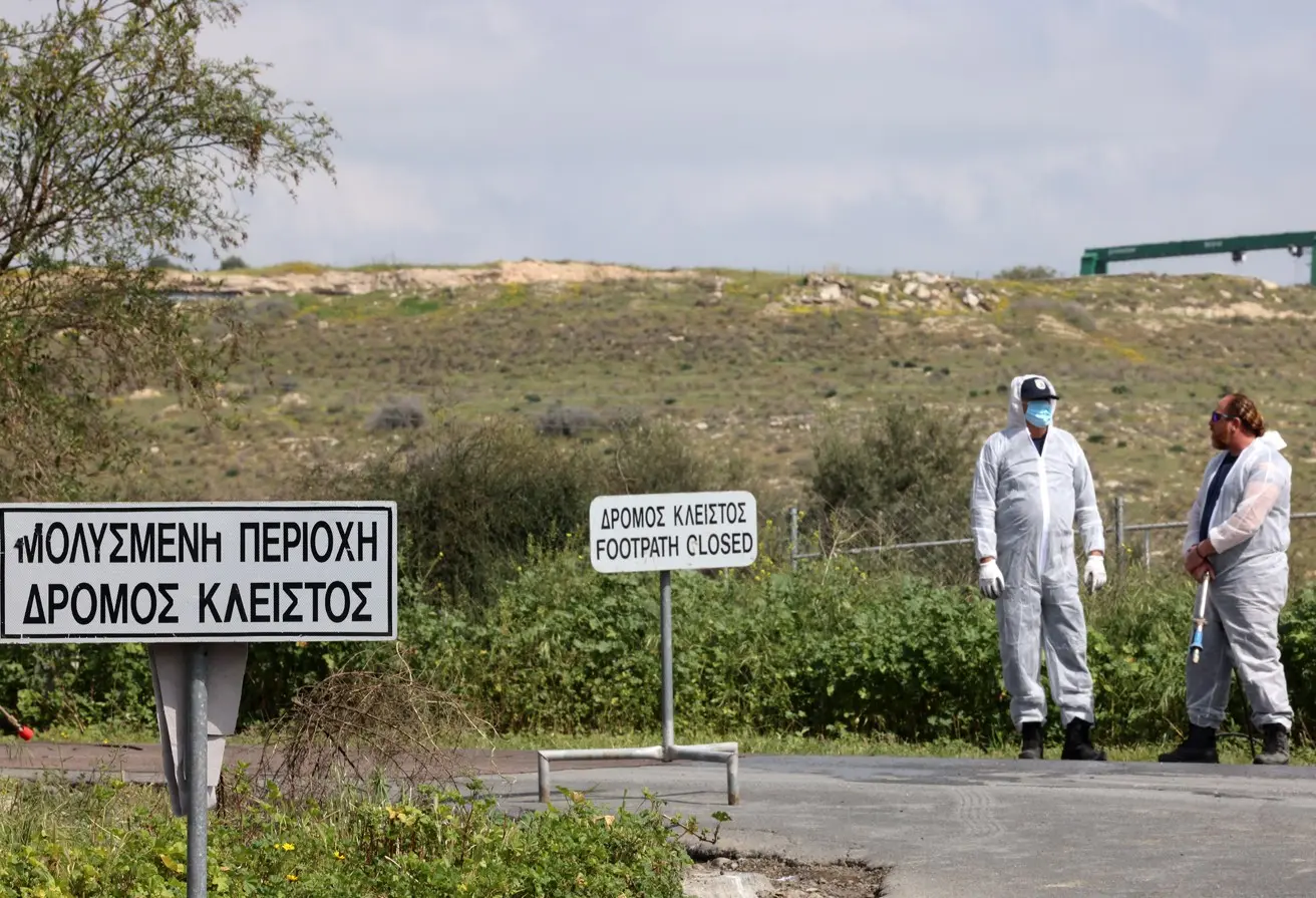 Αφθώδης πυρετός: Η ανασυγκρότηση της κτηνοτροφίας θέλει συνολικό επανασχεδιασμό, λέει ο Μαλάς