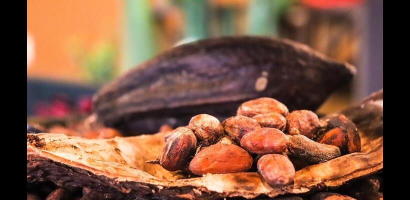 Κακάο: Η κατάρρευση των τιμών γεννά ελπίδες για ανάκαμψη της ζήτησης και φθηνότερη σοκολάτα