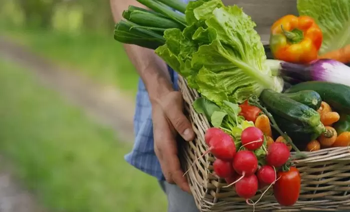 FAO: Μια παρατεταμένη κρίση στα Στενά του Ορμούζ θέτει σε κίνδυνο τα αγροδιατροφικά συστήματα