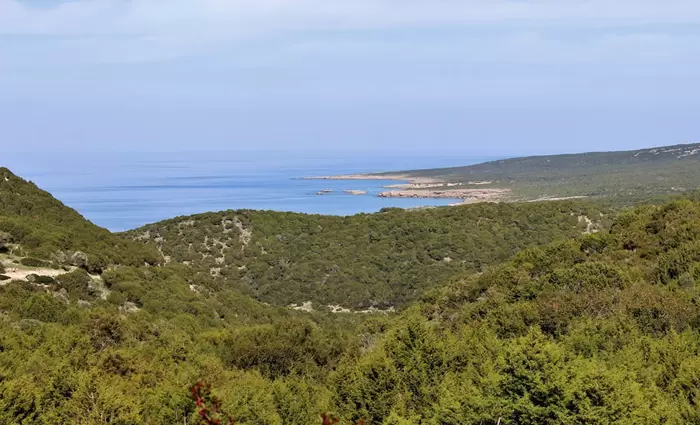 €1,27 εκατ. για έργα που προστατεύουν και αναδεικνύουν τα δάση της Κύπρου