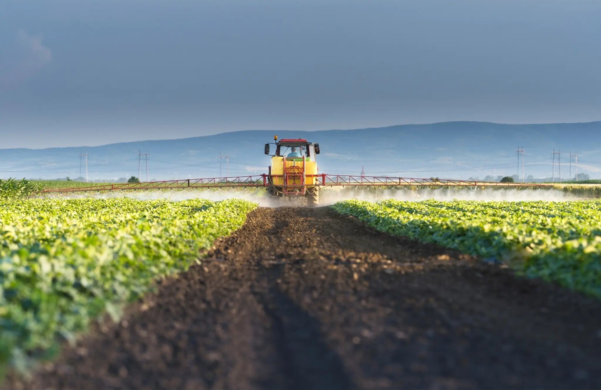 Η αύξηση της θερμοκρασίας θέτει σε κίνδυνο το 1/3 των τροφίμων