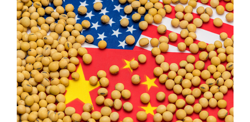 Σόγια: Ισχυρή πτώση στις τιμές μετά τις δηλώσεις Τραμπ για πιθανή αναβολή των συνομιλιών ΗΠΑ-Κίνας