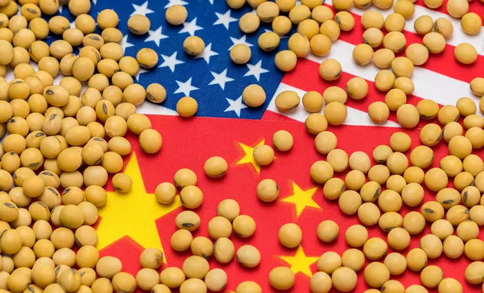 Σόγια: Ισχυρή πτώση στις τιμές μετά τις δηλώσεις Τραμπ για πιθανή αναβολή των συνομιλιών ΗΠΑ-Κίνας