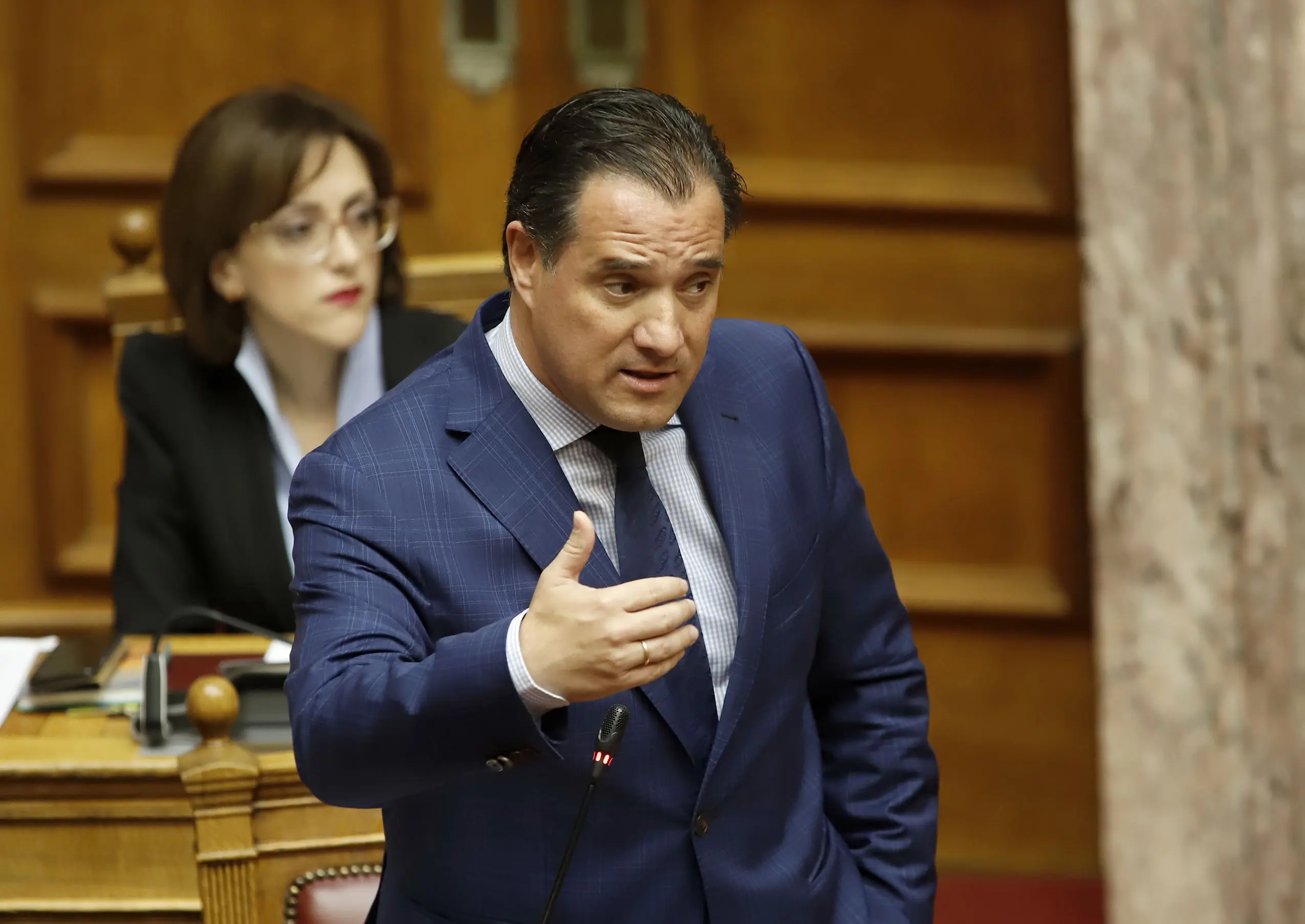 Άδωνις Γεωργιάδης: Είμαστε επιφυλακτικοί με τα «χρυσά διαβατήρια»