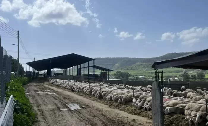 Συγκρατημένη ικανοποίηση αλλά και προβληματισμός στους κτηνοτρόφους μετά τη σύσκεψη με το Υπουργείο