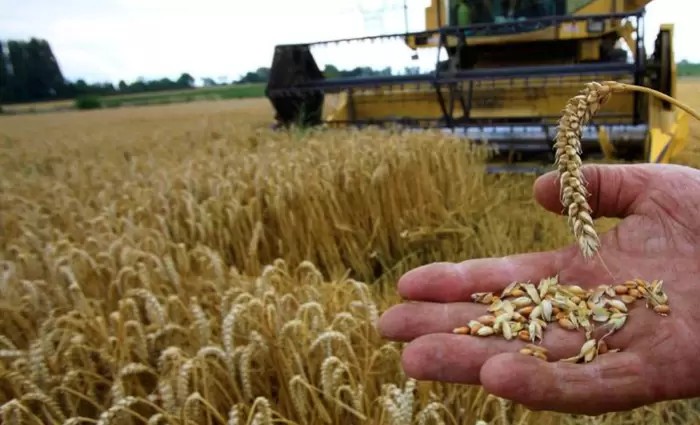 Στα σκαριά νομοσχέδιο κατά της αισχροκέρδειας στα αγροτικά προϊόντα