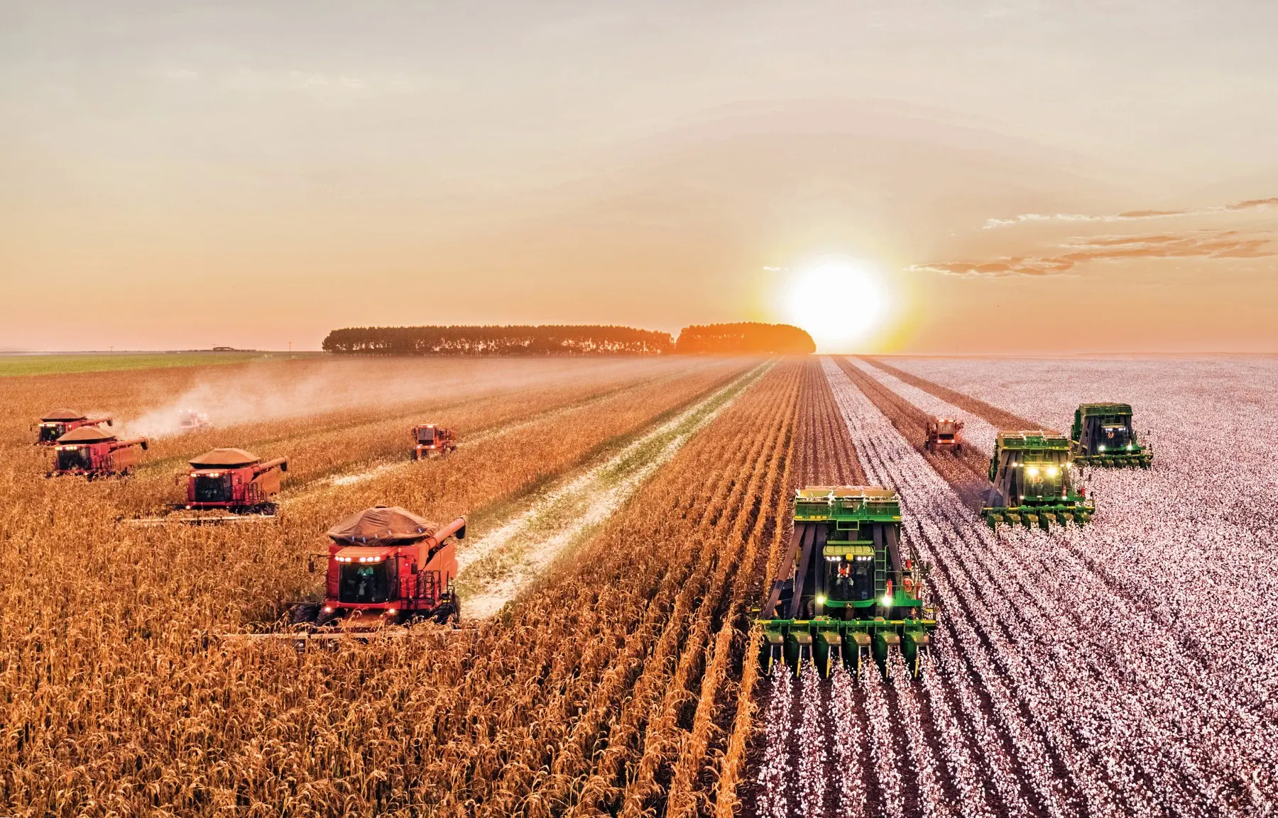 Μείωση της τιμής πετρελαίου και ενίσχυση ζητούν οι σιτοπαραγωγοί