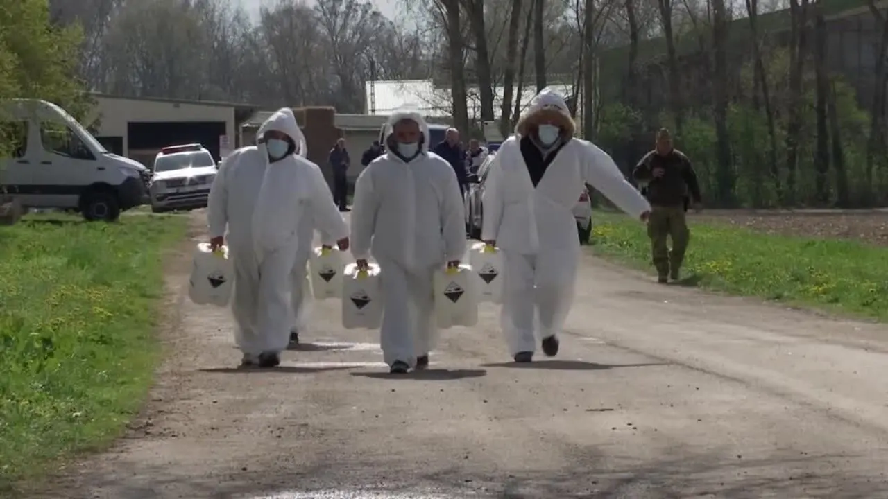 Αφθώδης Πυρετός: Δεν σταματούν οι θανατώσεις ζώων - Στο «κόκκινο» οι κτηνοτρόφοι