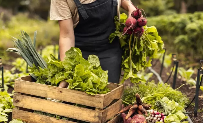 Σχέδιο στήριξης αγροτών για λιπάσματα και εφόδια λόγω ενεργειακής κρίσης