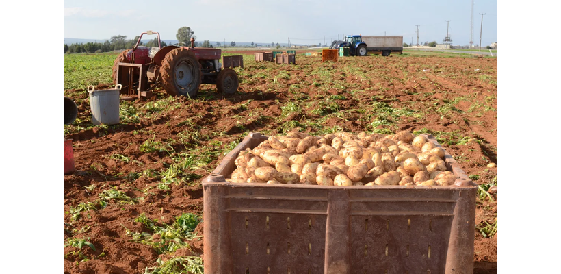 Τμ. Γεωργίας: Δέχεται αιτήσεις για ζημιές από ανεμοθύελλα σε Λάρνακα-Αμμόχωστο