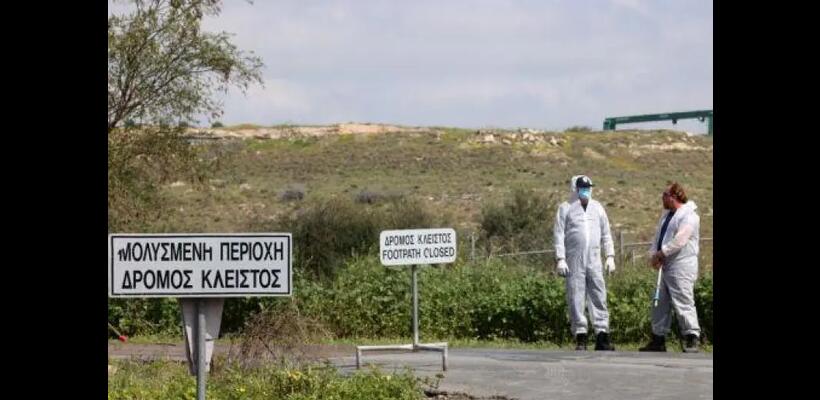 Αφθώδης πυρετός: Στις 46 οι πληγείσες μονάδες - Συνεχίζονται οι θανατώσεις και οι εμβολιασμοί