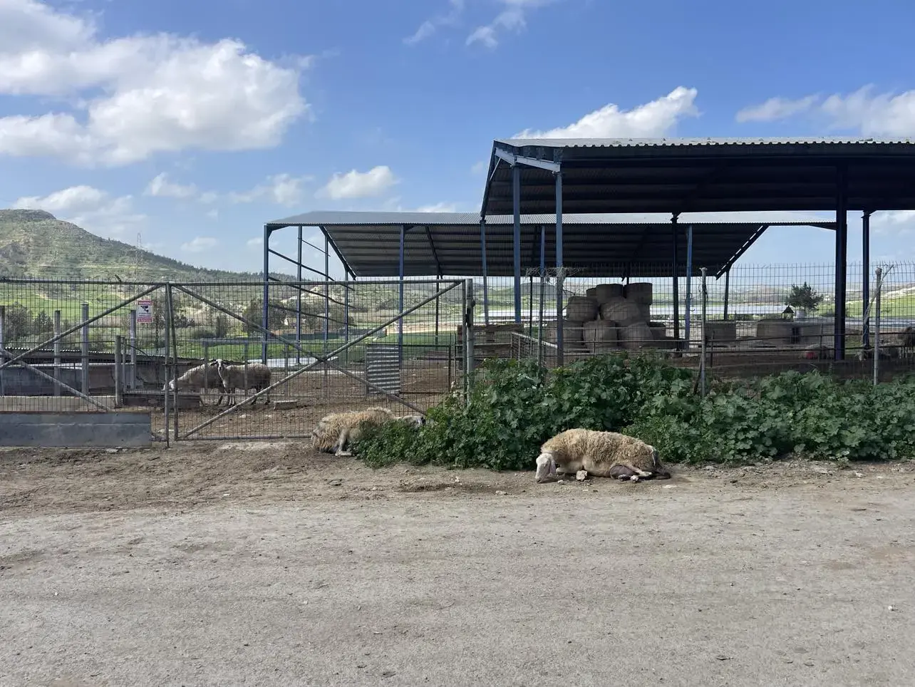 Ξεκίνησαν οι εμβολιασμοί – Αναμένονται σήμερα ακόμα 50 χιλ. δόσεις