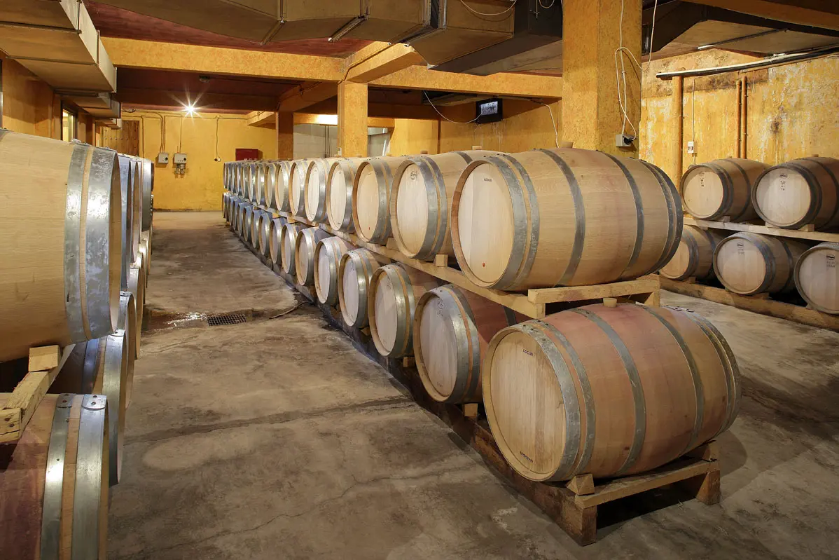 Προγράμματα οινοποιίας - τυροκομίας, από Σεπτέμβριο στο Όμοδος