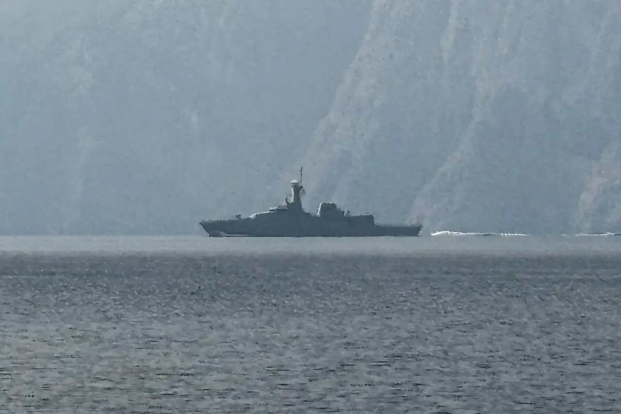 Στενά του Ορμούζ: Σε κρίση η ναυτιλία - Πλοία αλλάζουν σήματα για να αποφύγουν επιθέσεις