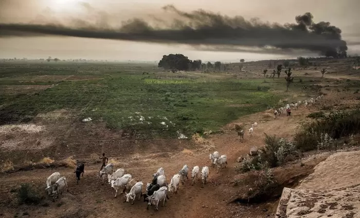 Η καταστροφή του περιβάλλοντος θα φέρει πείνα στην ανθρωπότητα