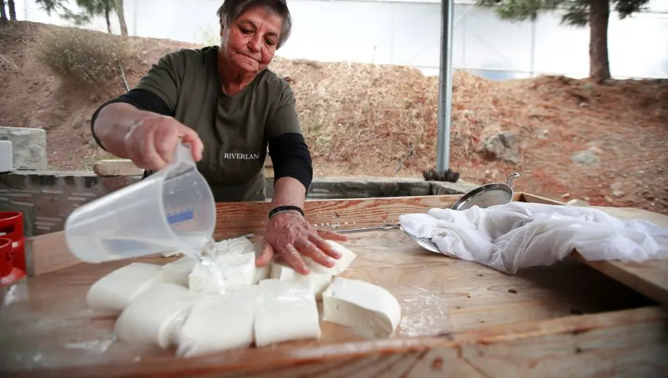 Spiegel: Η Κύπρος απέρριψε την CETA για το χαλλούμι