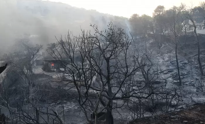 Φωτιά στην Αττική: 700.000 στρέμματα δάσους έγιναν στάχτη σε 8 χρόνια