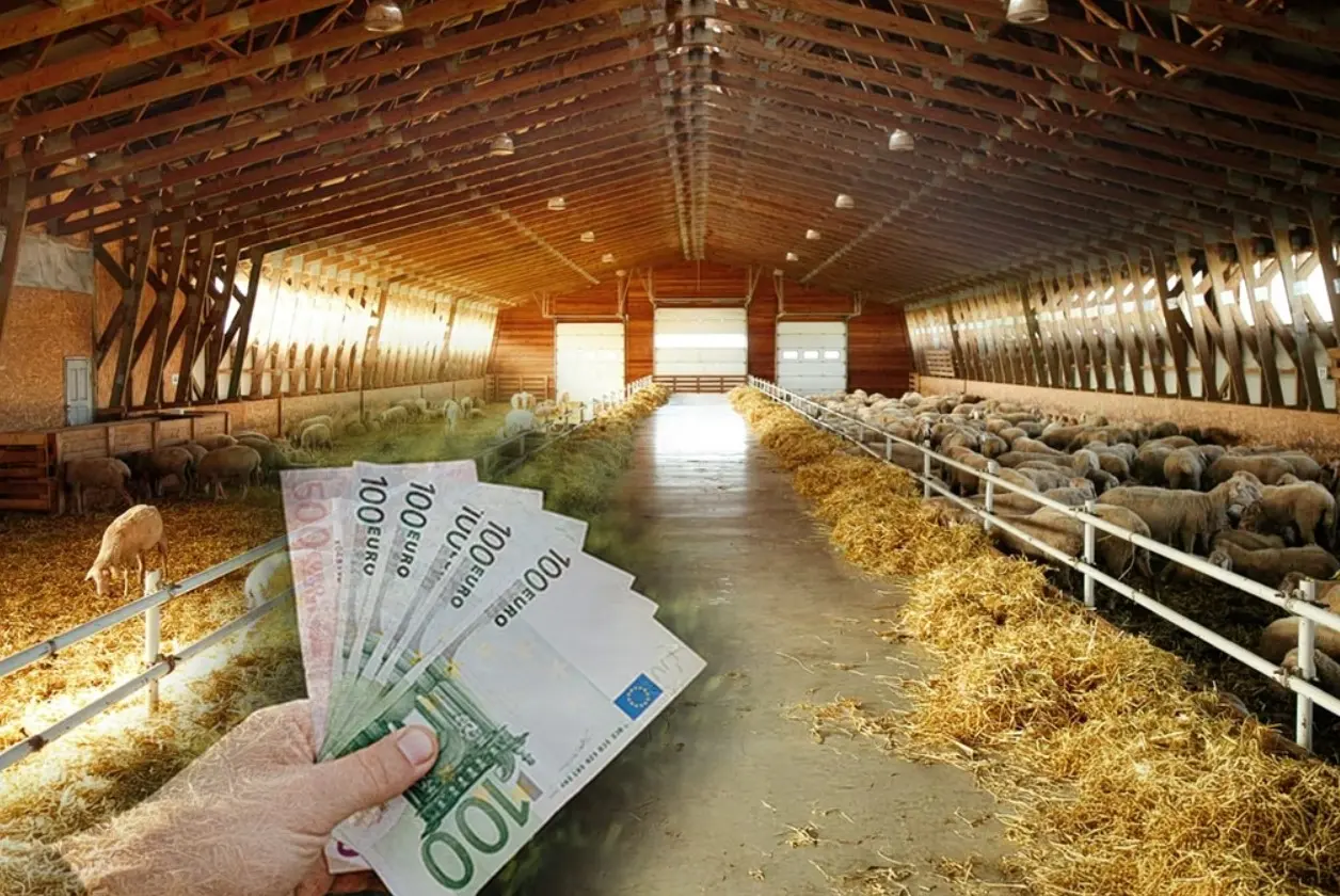 Α. Γρηγορίου: Σε εξέλιξη οι αποζημιώσεις για τον αφθώδη πυρετό