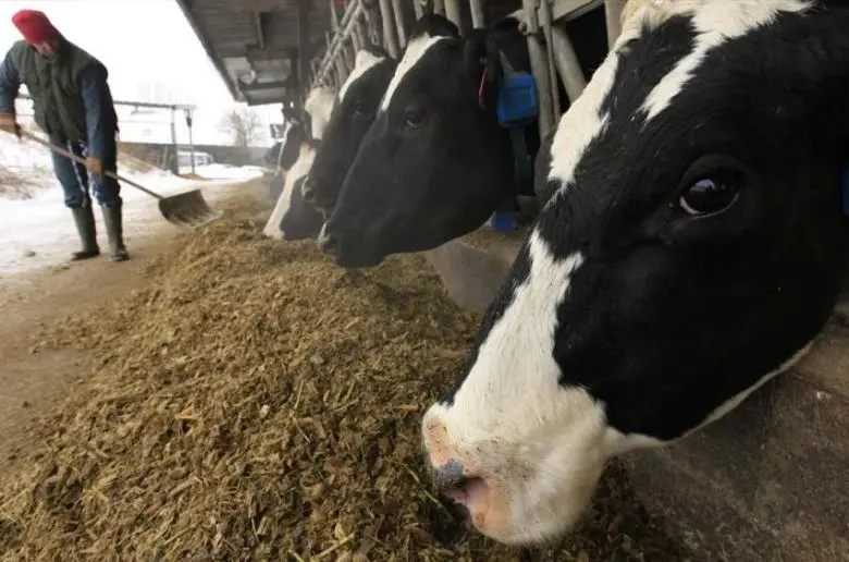 Κατάφερε να «ηρεμήσει» τους αγελαδοτόφους ο Υπ. Εμπορίου αγοράζοντας χρόνο