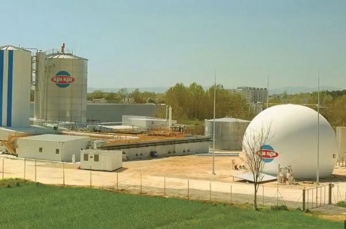 Γαλακτοβιομηχανία Κρι Κρι: Έκτακτη παροχή ύψους €1 εκατ. στους εργαζόμενους