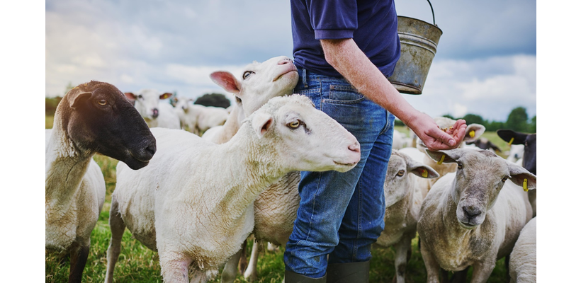 Συνάντηση ΠτΔ με Αγροτικές Οργανώσεις - Ζητούν τερματισμό θανατώσεων ζώων