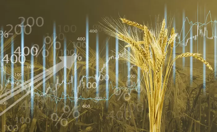 Σιτάρι: Άνοδος στα futures λόγω αβεβαιότητας για την εκεχειρία στη Μέση Ανατολή