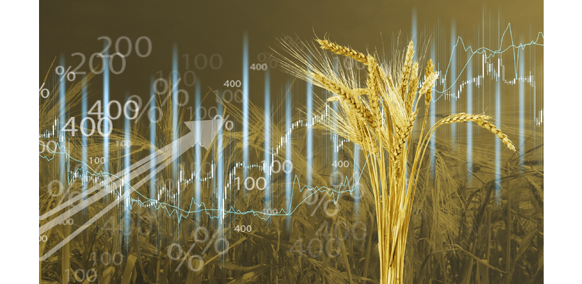 Σιτάρι: Άνοδος στα futures λόγω αβεβαιότητας για την εκεχειρία στη Μέση Ανατολή