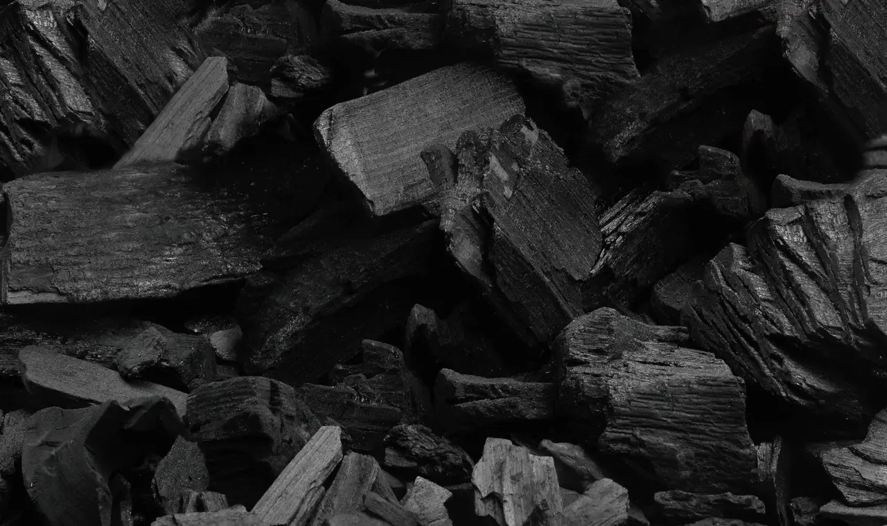 Πόλεμος στη Μέση Ανατολή: Το ενεργειακό σοκ εκτινάσσει και τις τιμές άνθρακα - Στα $150 ο τόνος