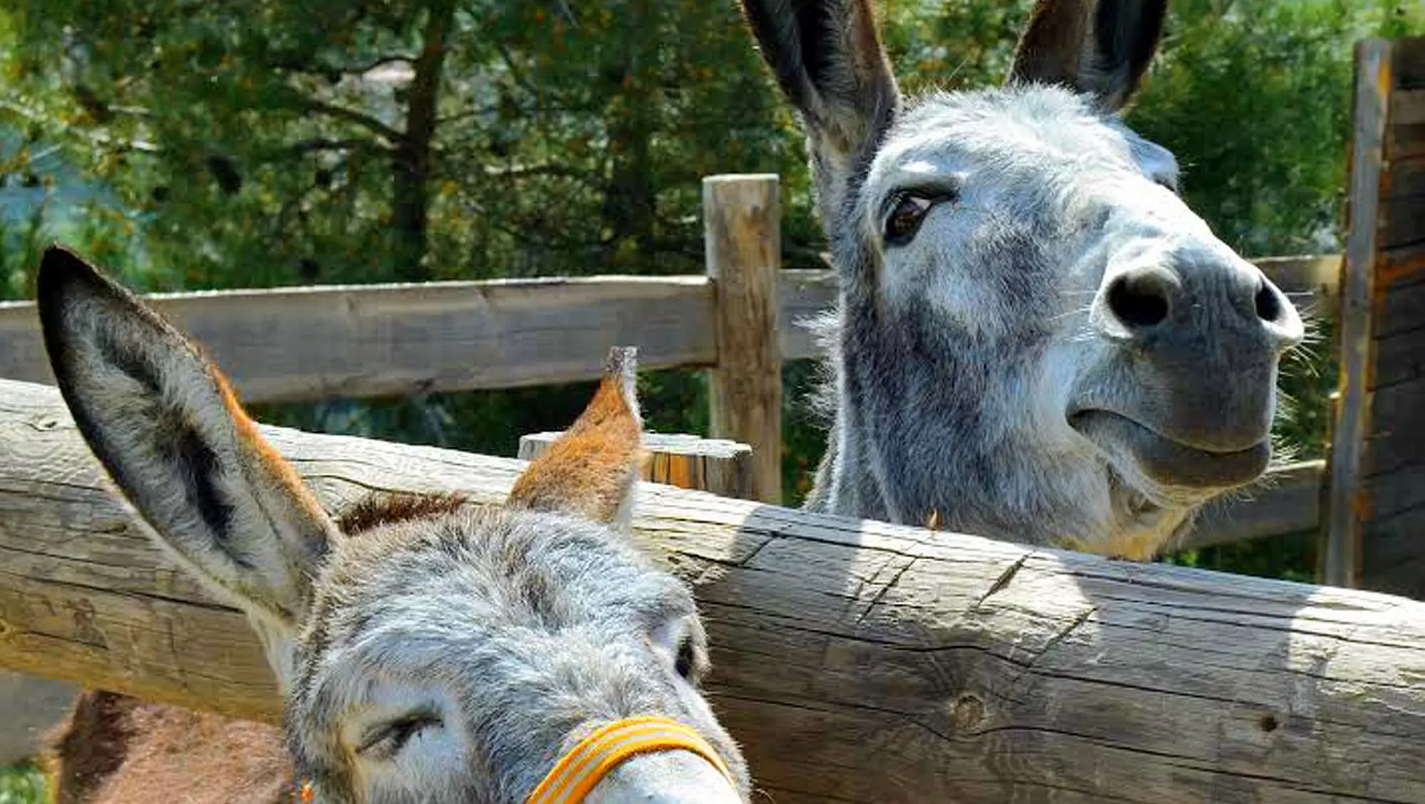 Επενδύστε στον αγροτουρισμό και διεκδικήστε μέχρι €200 χιλιάδες