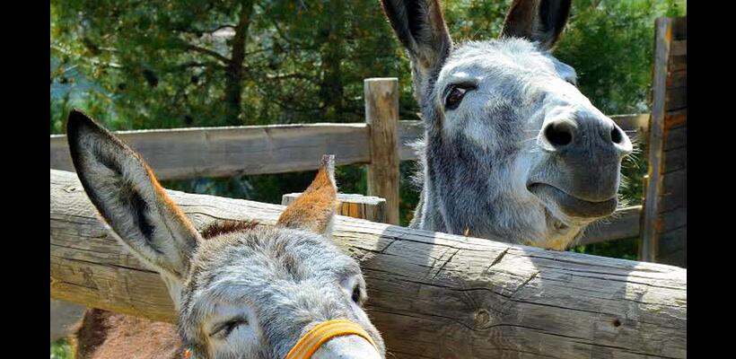 Επενδύστε στον αγροτουρισμό και διεκδικήστε μέχρι €200 χιλιάδες