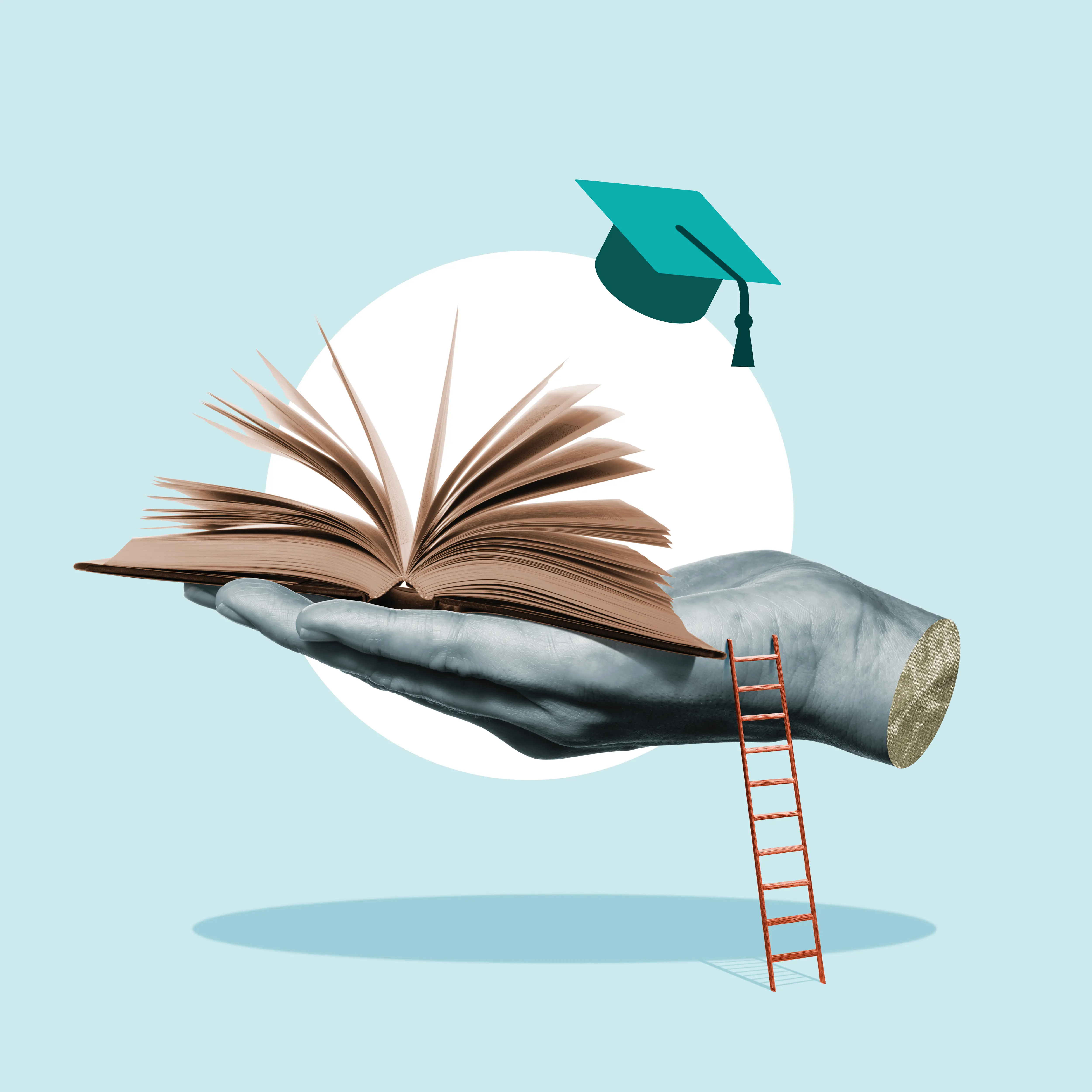 Ανώτερη Εκπαίδευση: Η χαρτογράφηση, το στοίχημα και οι προοπτικές