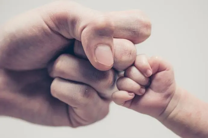 Προς αναγνώριση της άδειας πατρότητας