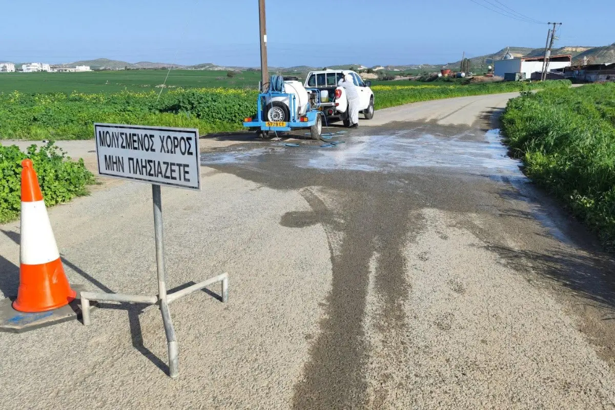 Αφθώδης πυρετός: Το ντόμινο που φέρνει αυξήσεις στο πασχαλινό τραπέζι