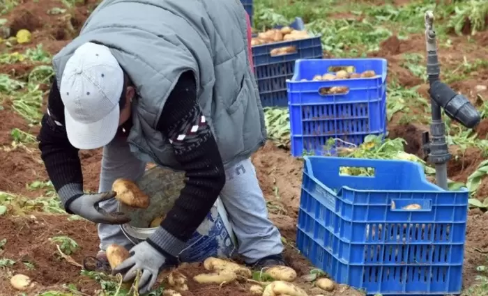 ΠΕΟ: Προωθείτε τις θέσεις των εργοδοτών για εργάτες από τρίτες χώρες