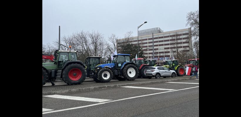 Στον πάγο η συμφωνία ΕΕ - Mercosur από το Ευρωπαϊκό Κοινοβούλιο