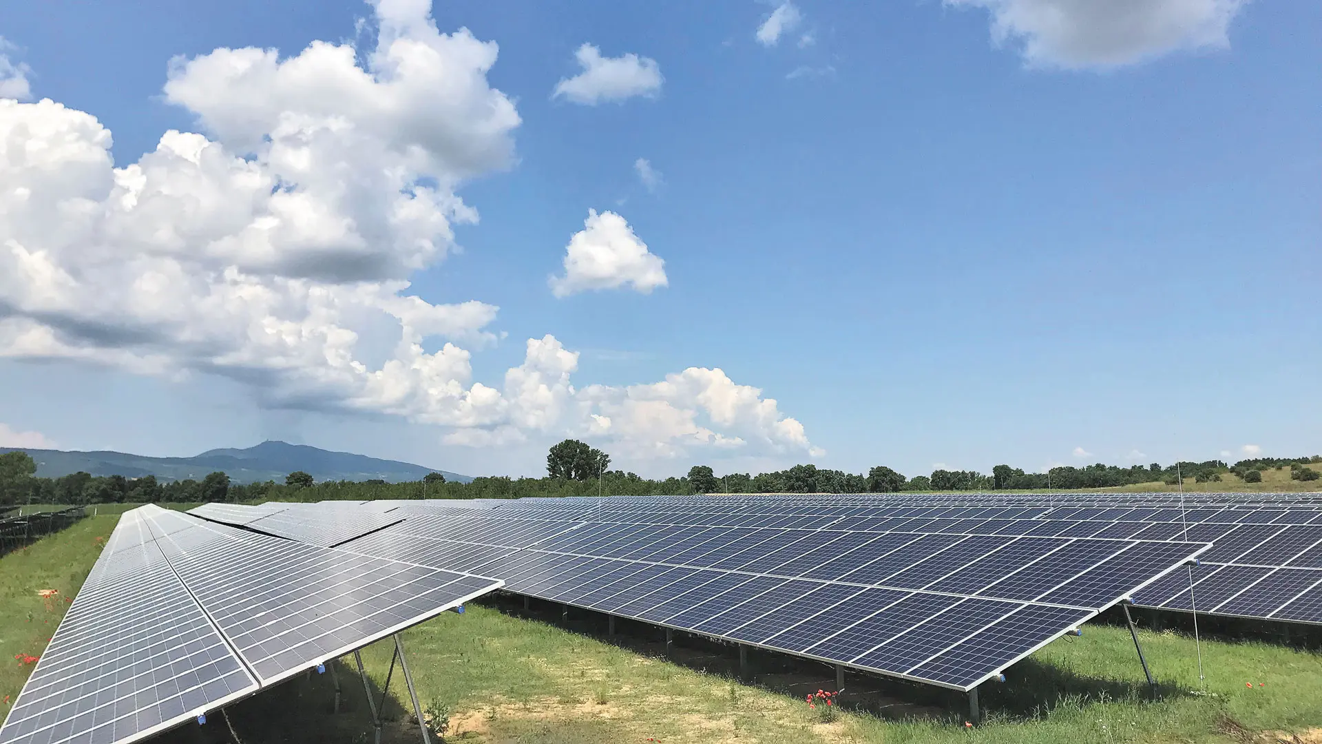 Βλέπουν ευοίωνο το μέλλον των φωτοβολταϊκών στην Κύπρο