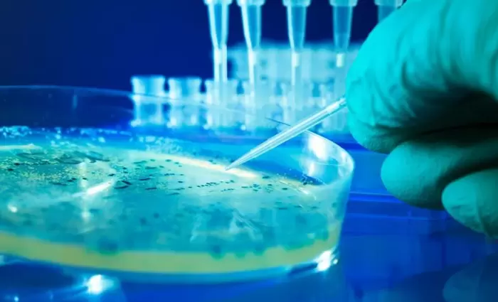 Επιστήμονες δημιούργησαν τους πρώτους ιούς που σχεδιάστηκαν από AI