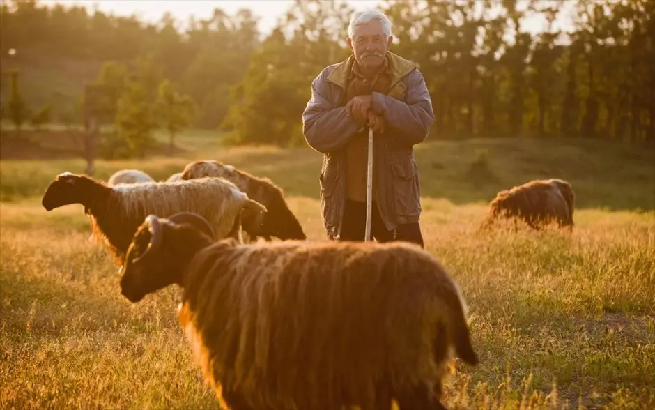 Πρόταση για οικονομική ενίσχυση των αιγοπροβατοτρόφων