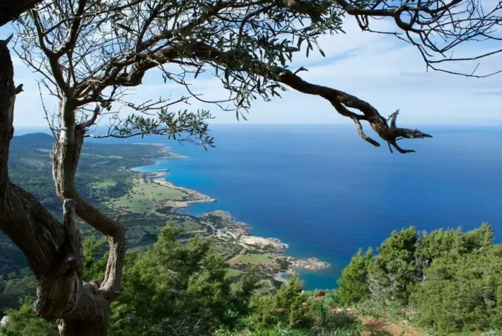 Ευρωπαϊκή διάκριση για την Πάφο, που γράφει τη δική της «πράσινη ιστορία»