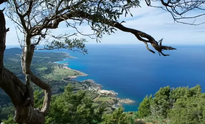 Ευρωπαϊκή διάκριση για την Πάφο, που γράφει τη δική της «πράσινη ιστορία»