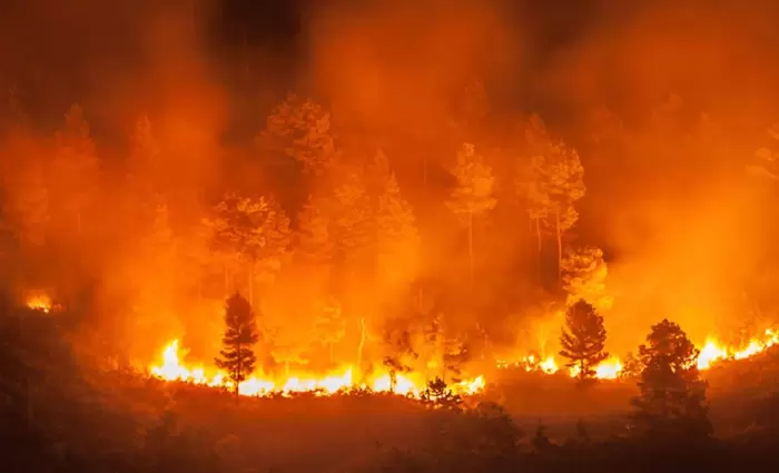 Η Βρετανία υπόσχεται βοήθεια 10 εκατ. λιρών για την Αμαζονία