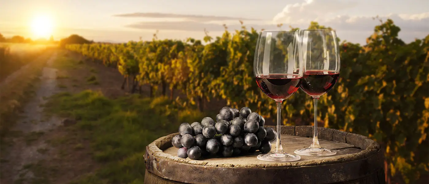 Τμήμα Γεωργίας: Υποχρεωτική η δήλωση αποθεμάτων οίνων για το 2023